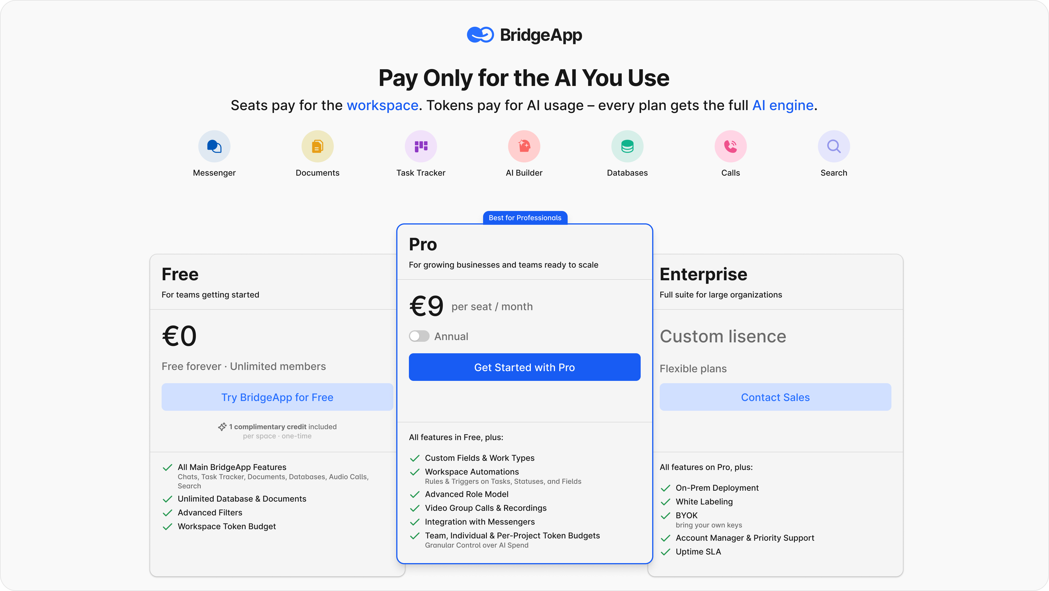 BridgeApp pricing page with 'Pay Only for the AI You Use' banner and Pro plan highlighted.