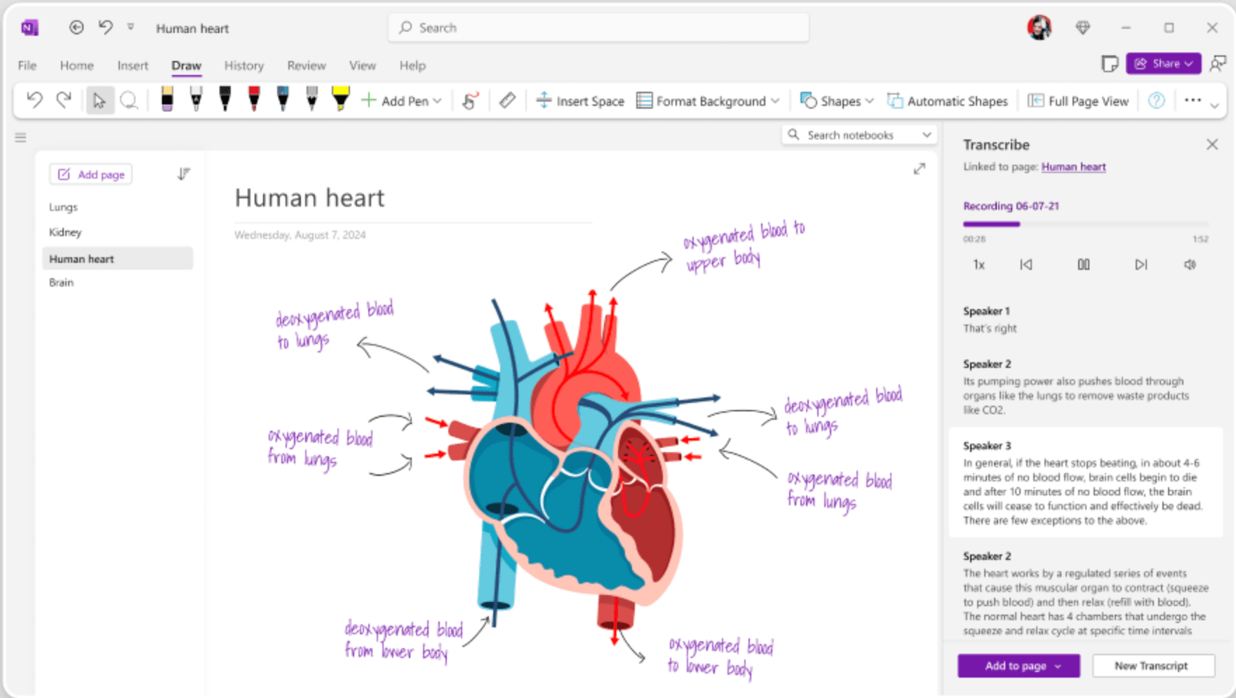 Microsoft OneNote.png
